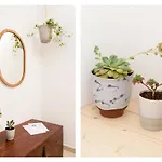 Boho